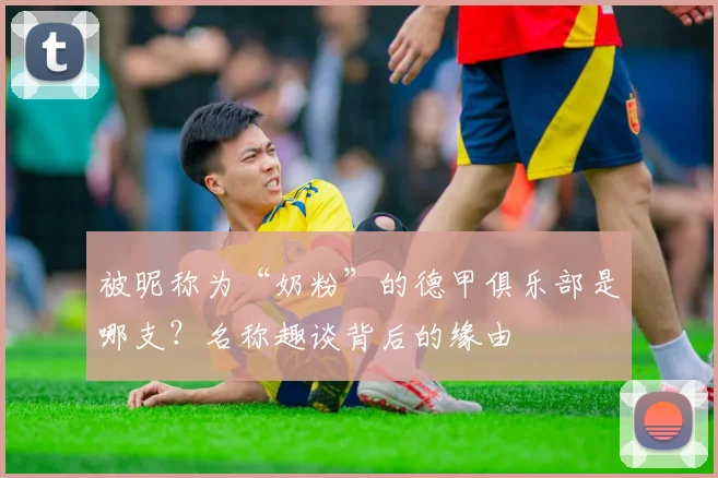 被昵称为“奶粉”的德甲俱乐部是哪支？名称趣谈背后的缘由