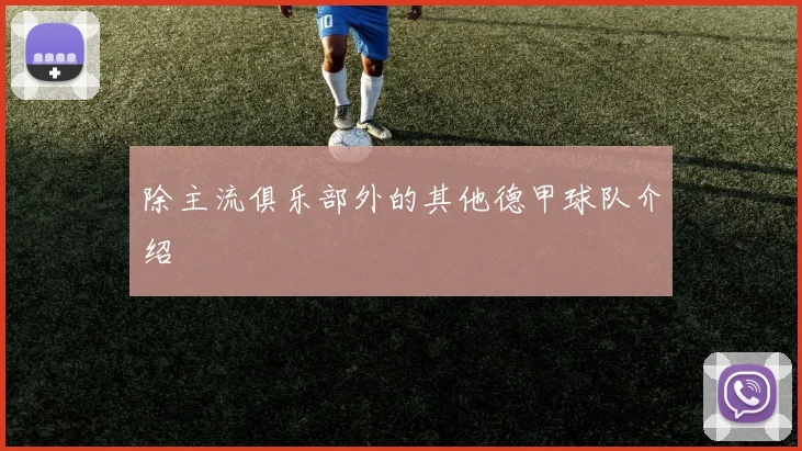 除主流俱乐部外的其他德甲球队介绍