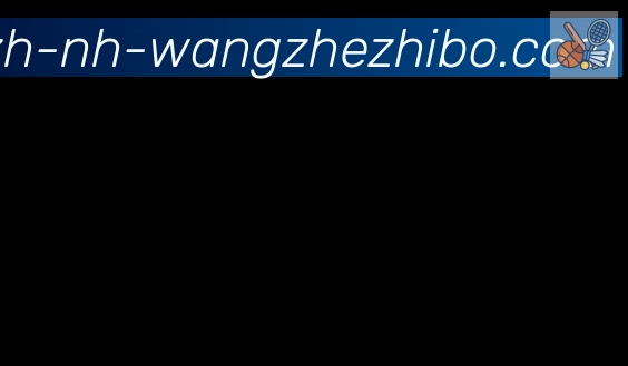 王者体育合作伙伴